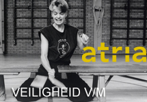 veiligheid m/v
